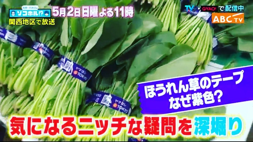 私が所属する、国際カラープロフェッショナル協会の二宮恵理子代表理事が、今夜23時よりABC朝日放送で放送の【矢作・バカリのソコホル!?~言われてみれば気になるアレ大調査~】にZOOM出演されます。お時間の合う方はぜひご覧になって下さい#国際カラープロフェッショナル協会 #ソコホル#矢作兼 #バカリズム