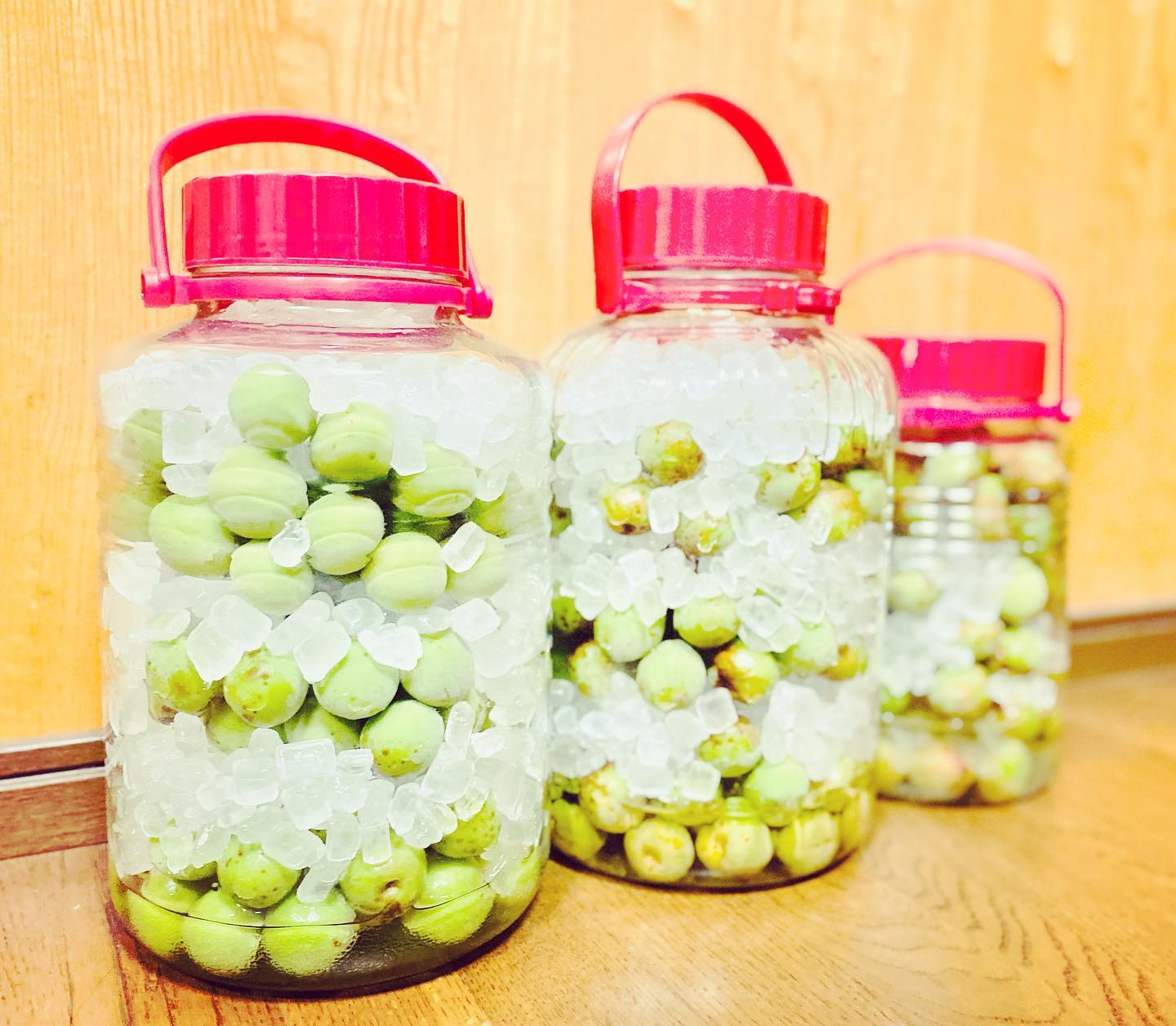 ビンが足りない予感。#梅シロップ#梅シロップ作り #ひたすら梅のヘタ取り#氷砂糖10袋買い