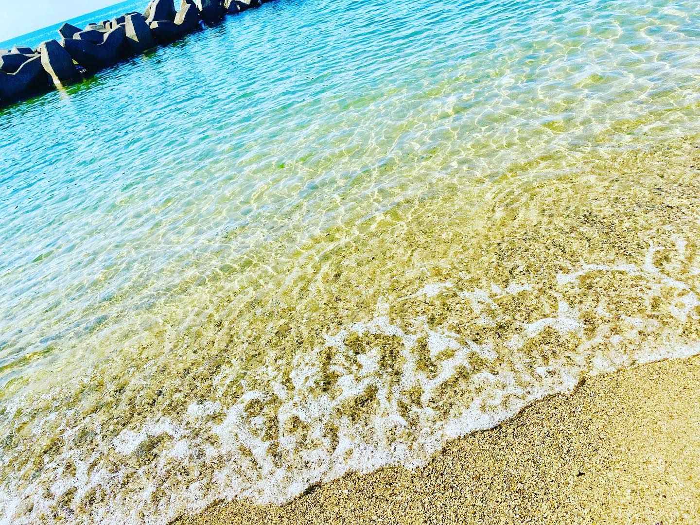 夏休みの終わりとともに、とうとうiMac撃沈。。。私も2、3日沈んでいましたが、約10年ぶりにパソコンの品定めを始めなくては、です。#パソコン壊れた #imac