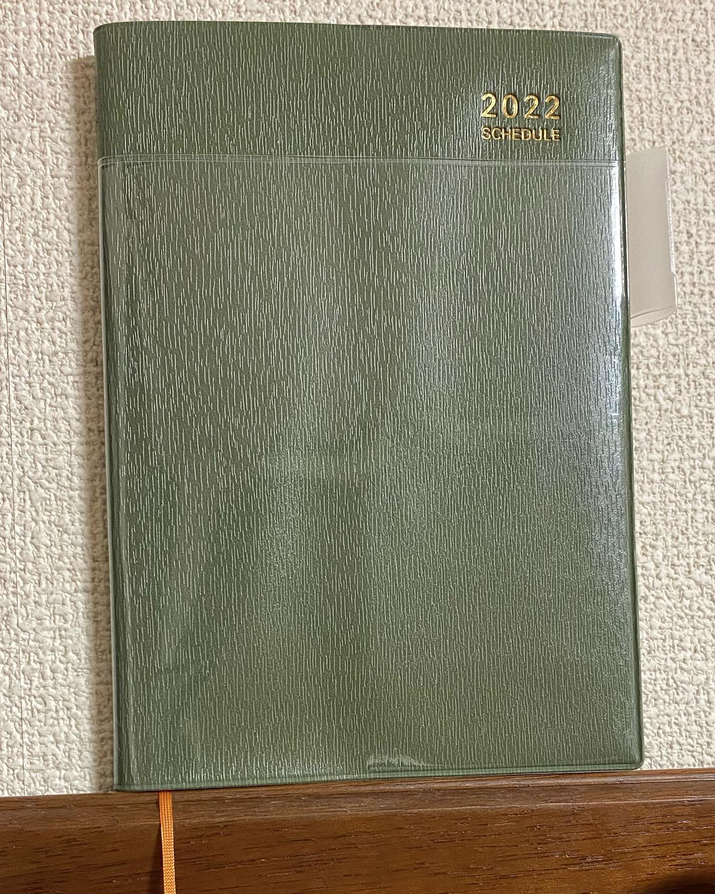 毎年秋頃に、来年はどんな年にしたいかな?で選んでいる来年の手帳。今年目についたのはザ・オータムカラーの高橋の手帳でした。うん、自然体でいこう。#来年の手帳 #手帳は高橋 #グリーン #オータムカラー #自然体でいこう